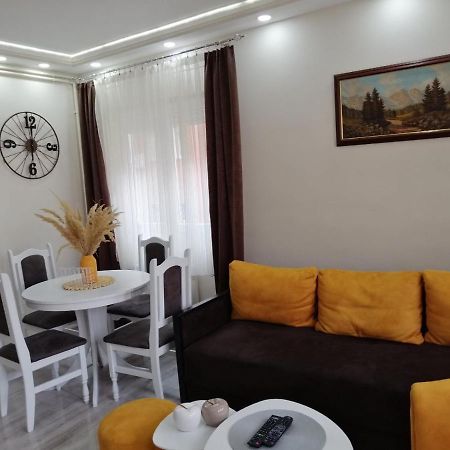 Apartman Zi-Zo Appartement Vrsac Buitenkant foto