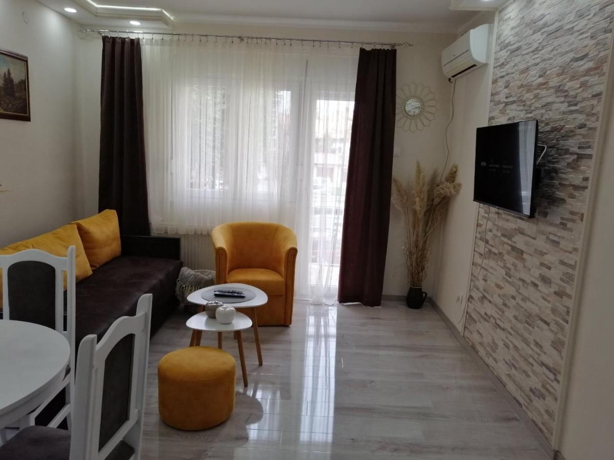 Apartman Zi-Zo Appartement Vrsac Buitenkant foto