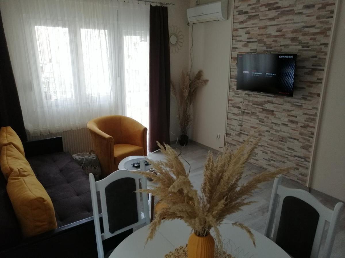 Apartman Zi-Zo Appartement Vrsac Buitenkant foto