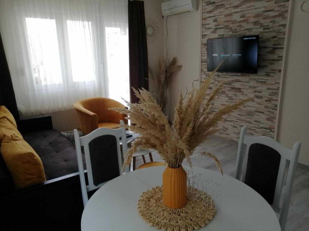 Apartman Zi-Zo Appartement Vrsac Buitenkant foto