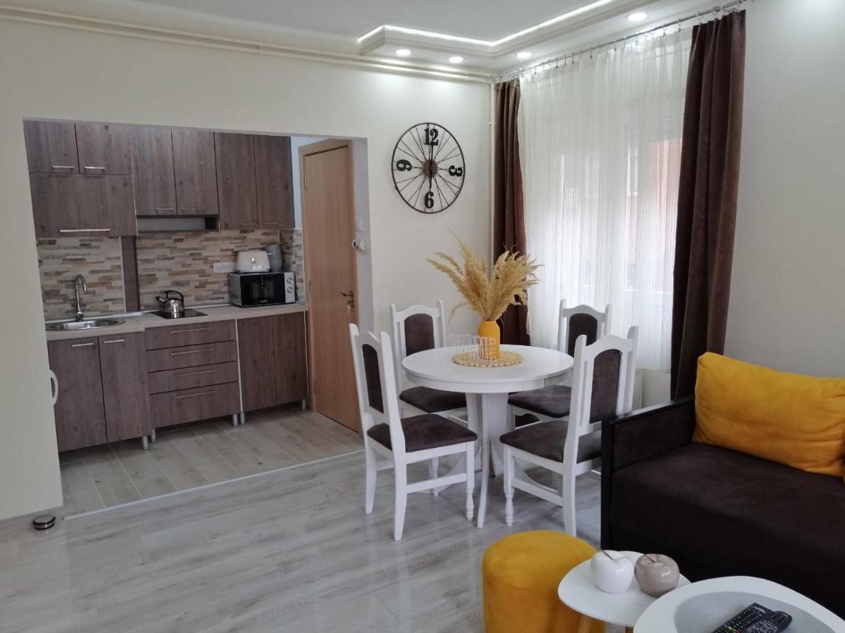 Apartman Zi-Zo Appartement Vrsac Buitenkant foto